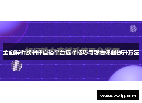 全面解析欧洲杯直播平台选择技巧与观看体验提升方法
